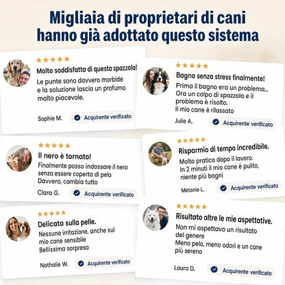 Sistema di pulizia senza acqua per animali